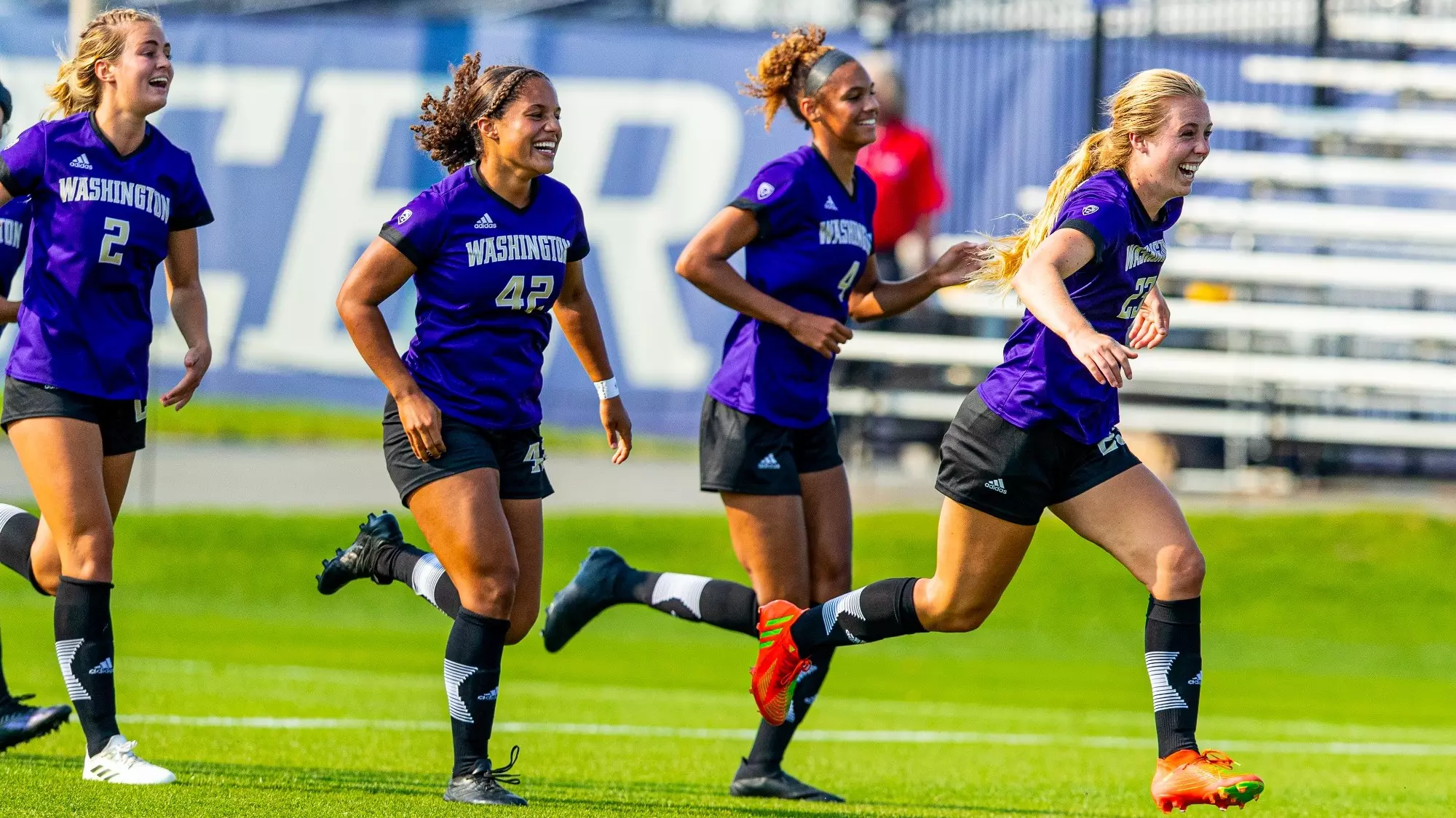 趣弥补了长 趣弥补了长