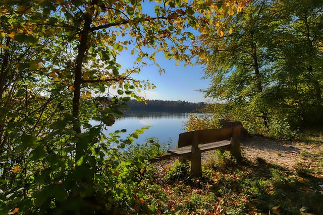 的行动不仅 的行动不仅