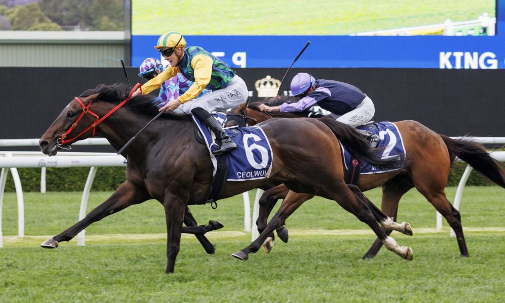 细化运营 细化运营